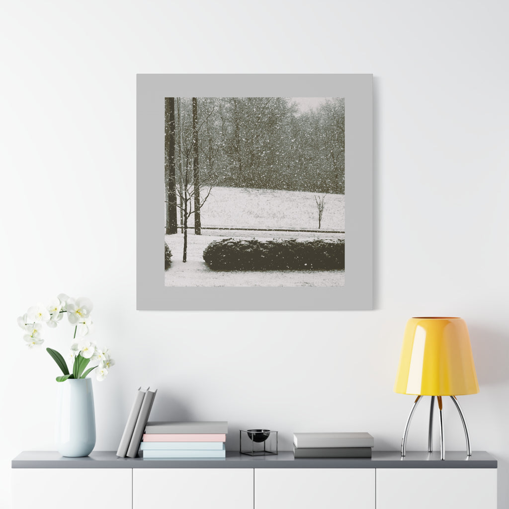 Snowing in the Park — Matte Canvas Print — Winter Landscape Photography Wall Art