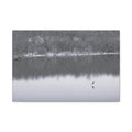 A Quiet Moment — Matte Canvas Print — Black & White Nature Photography Wall Art