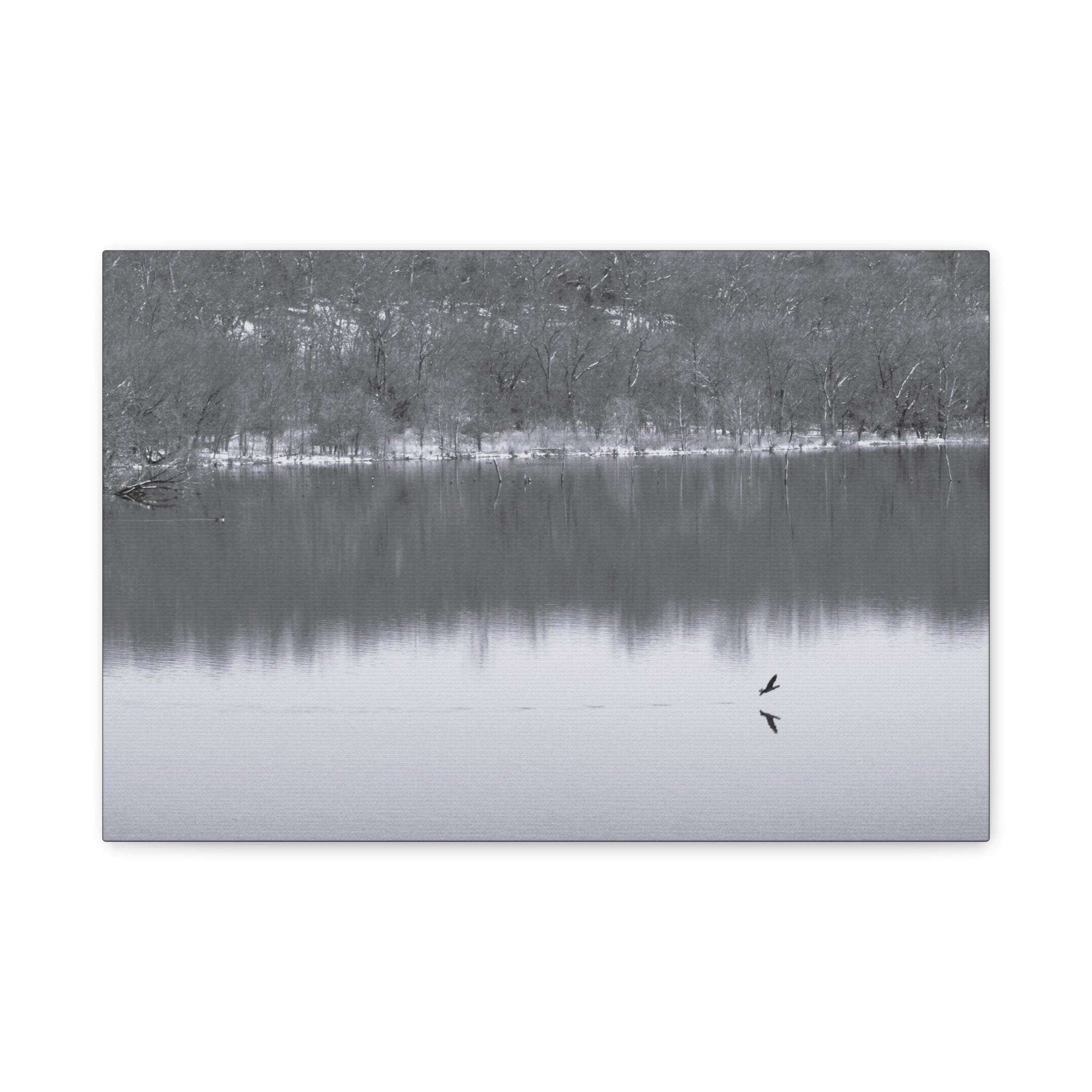 A Quiet Moment — Matte Canvas Print — Black & White Nature Photography Wall Art