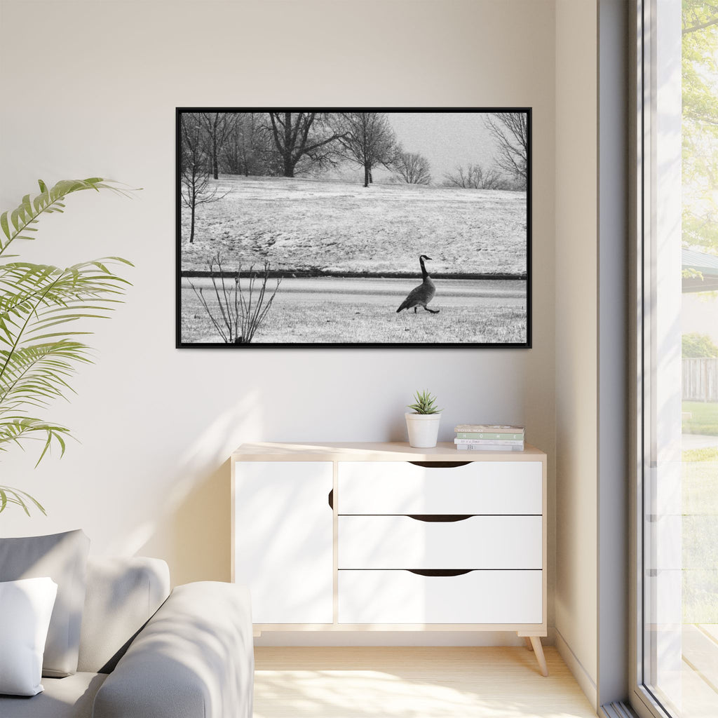 Unbothered — Framed Matte Canvas Print — Black & White Bird Photography Wall Art