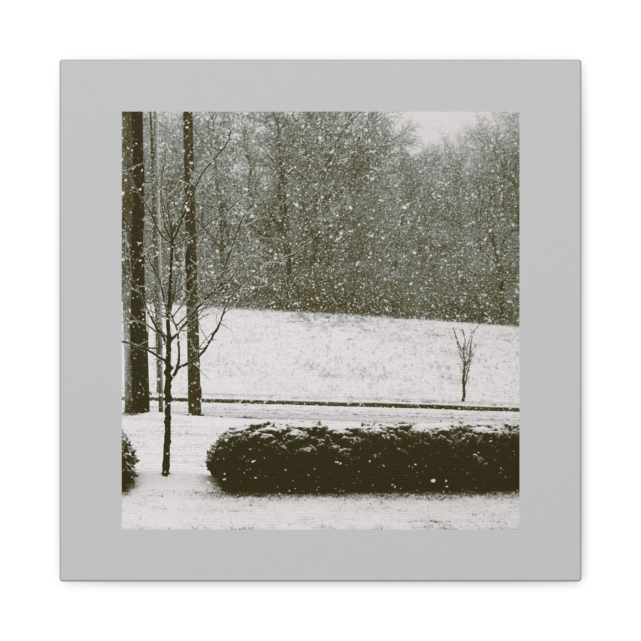 Snowing in the Park — Matte Canvas Print — Winter Landscape Photography Wall Art