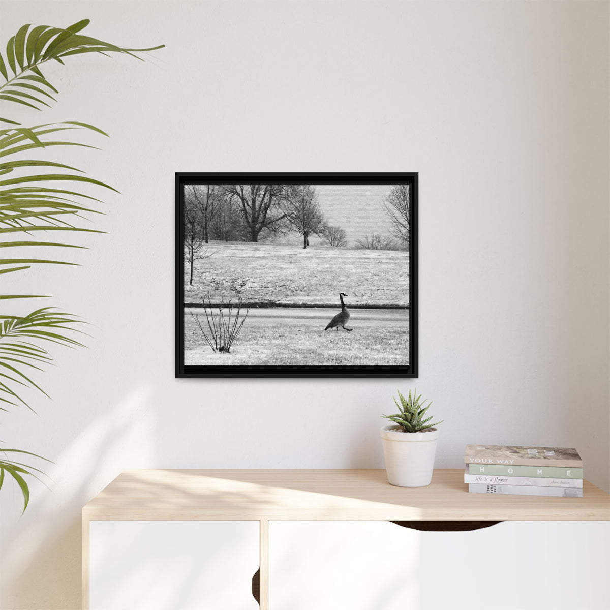 Unbothered — Framed Matte Canvas Print — Black & White Bird Photography Wall Art