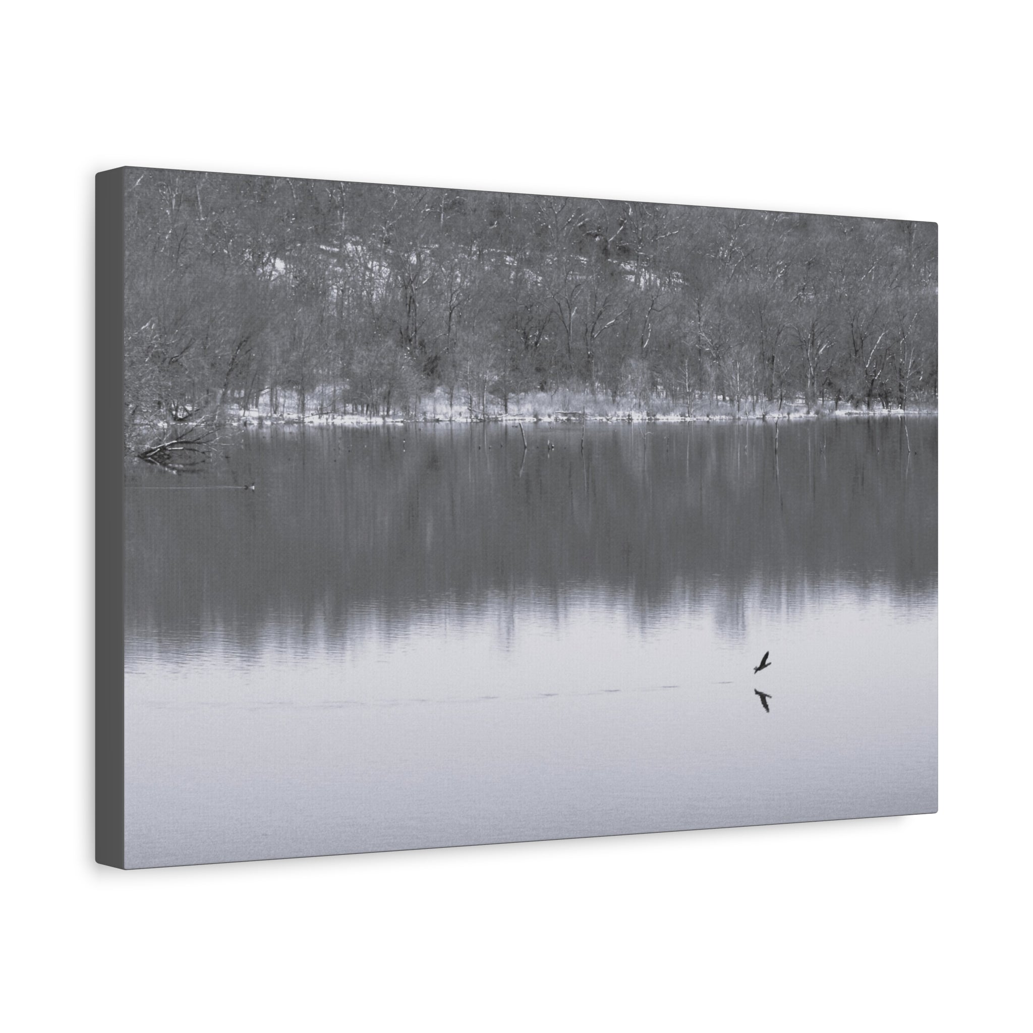 A Quiet Moment — Matte Canvas Print — Black & White Nature Photography Wall Art