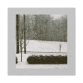 Snowing in The Park -  Landscape Matte Canvas (Stretched)