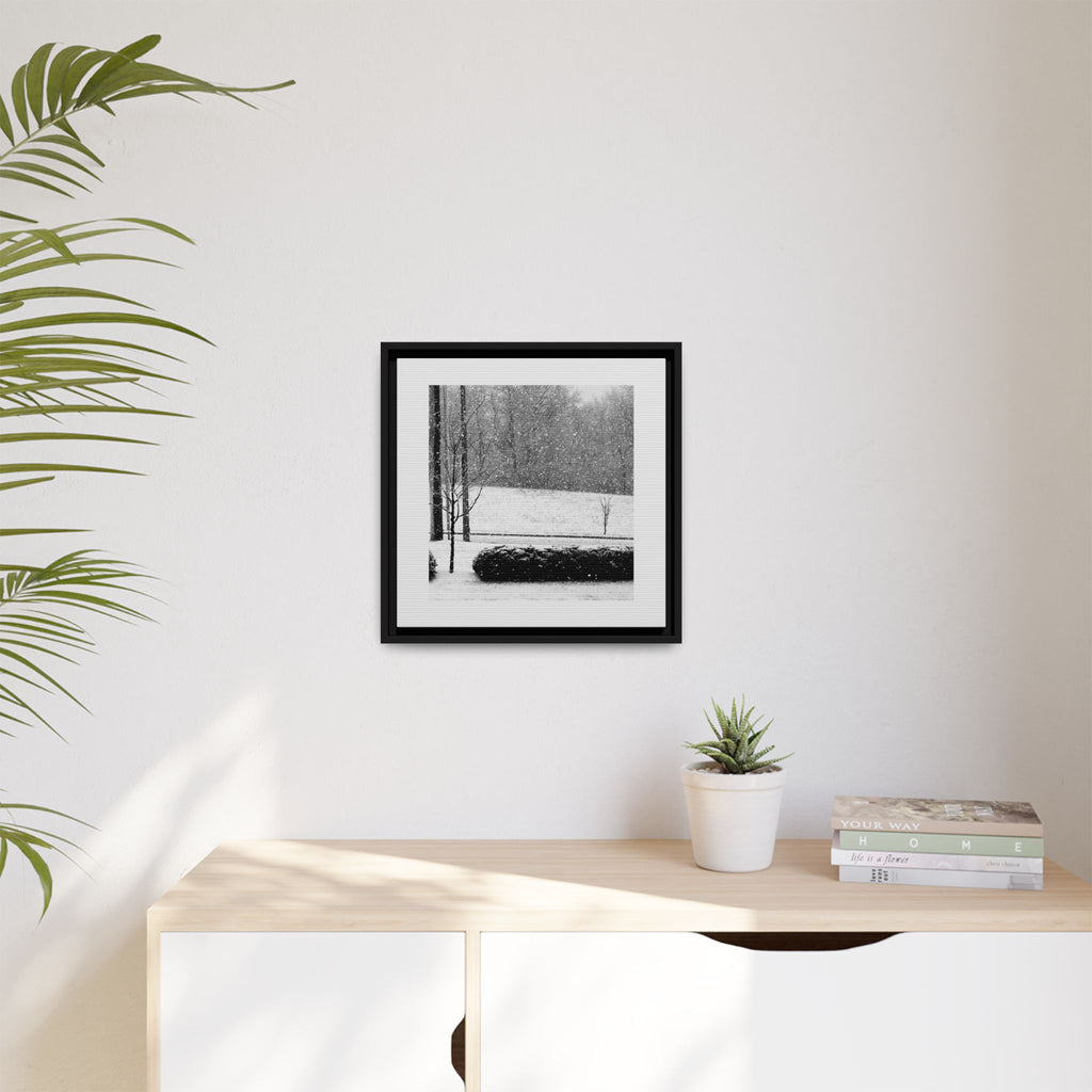 Snowing in the Park — Framed Matte Canvas Print — Winter Landscape Photography Wall Art