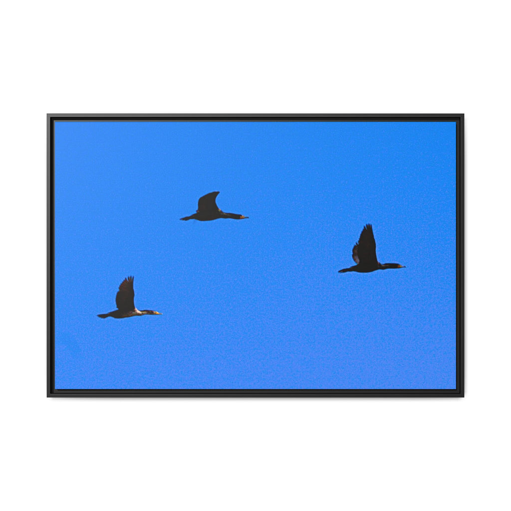 Open Skies — Framed Matte Canvas Print — Blue Sky Bird Photography Wall Art