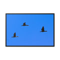 Open Skies — Framed Matte Canvas Print — Blue Sky Bird Photography Wall Art