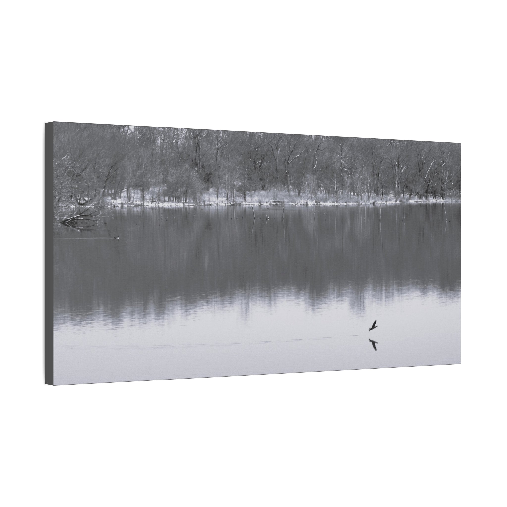 A Quiet Moment — Matte Canvas Print — Black & White Nature Photography Wall Art