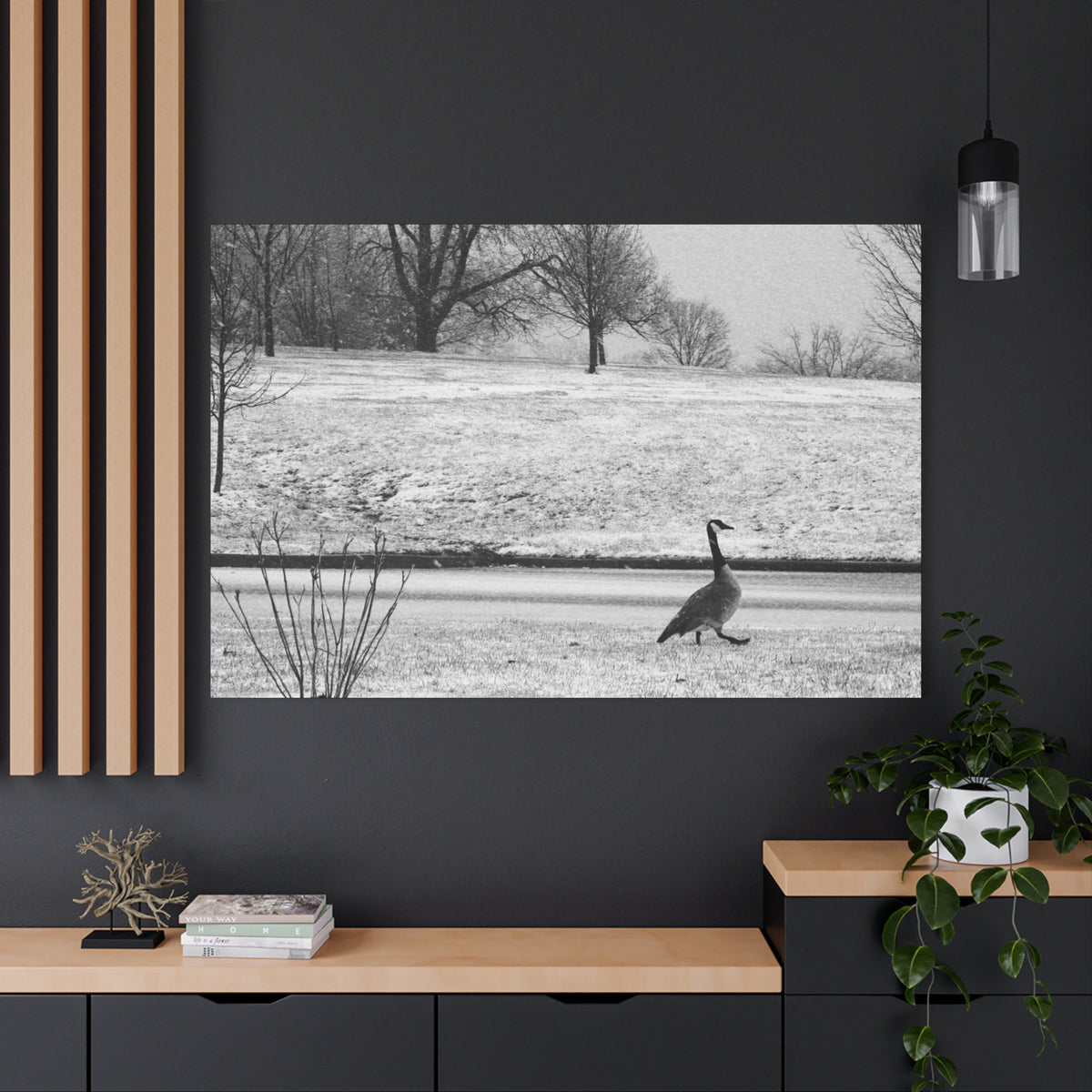 Unbothered — Matte Canvas Print — Black & White Bird Photography Wall Art