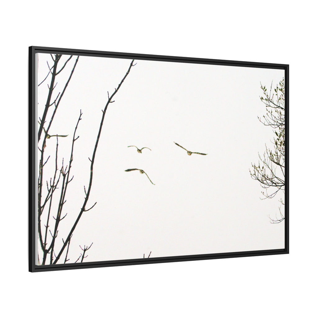 From the Gray — Winter Flight Framed Matte Canvas Print — Black & White Bird Photography Wall Art