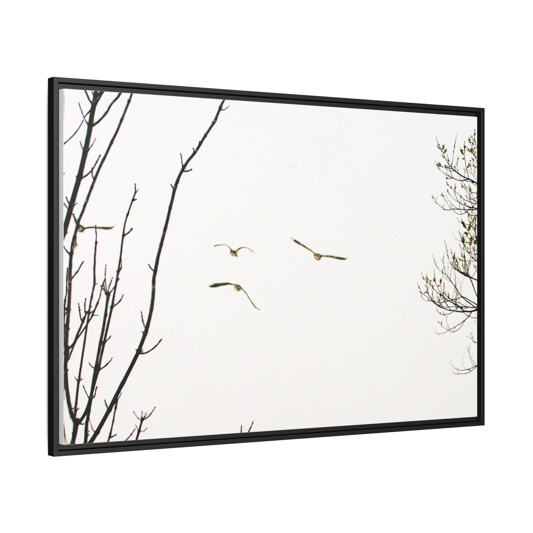 From the Gray — Winter Flight Framed Matte Canvas Print — Black & White Bird Photography Wall Art