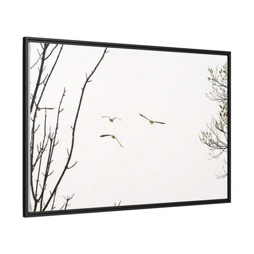 From the Gray — Winter Flight Framed Matte Canvas Print — Black & White Bird Photography Wall Art