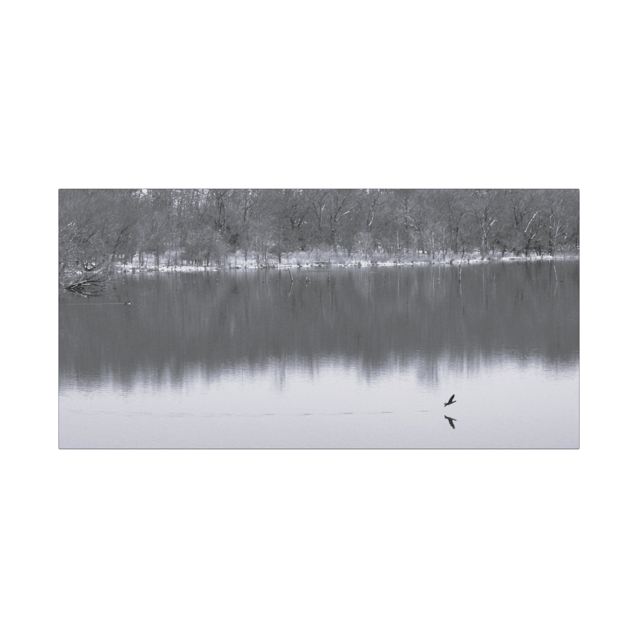 A Quiet Moment — Matte Canvas Print — Black & White Nature Photography Wall Art