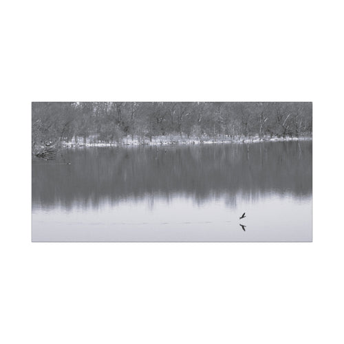 A Quiet Moment — Matte Canvas Print — Black & White Nature Photography Wall Art