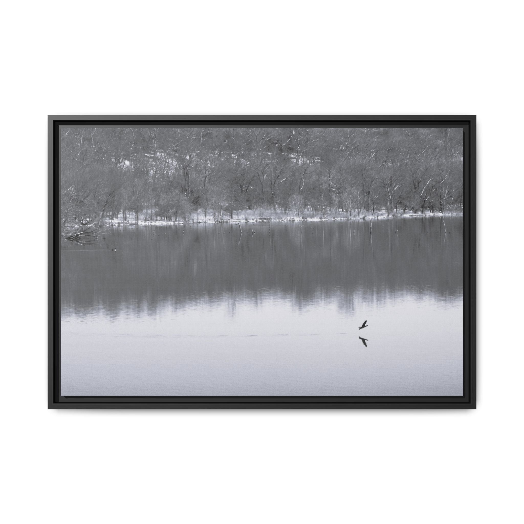 A Quiet Moment — Framed Matte Canvas Print — Black & White Nature Photography Wall Art