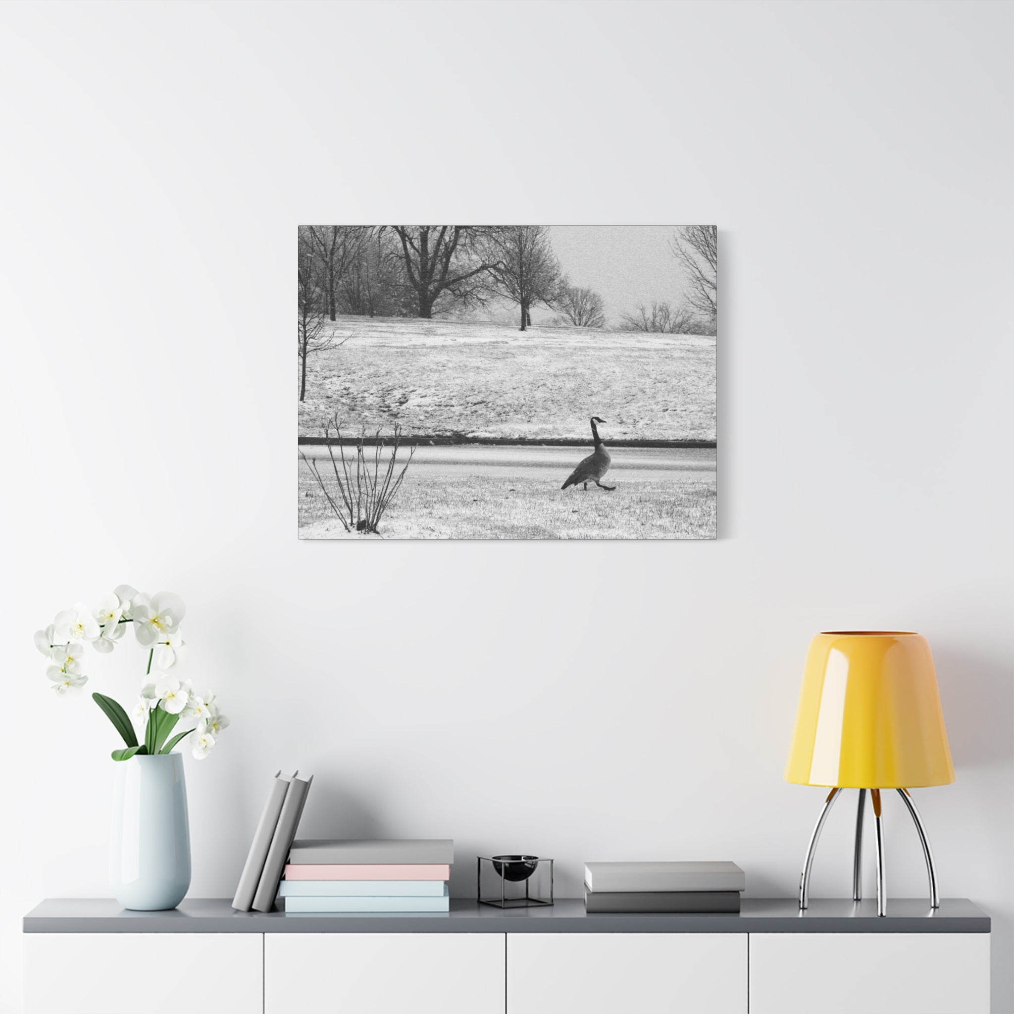 Unbothered — Matte Canvas Print — Black & White Bird Photography Wall Art