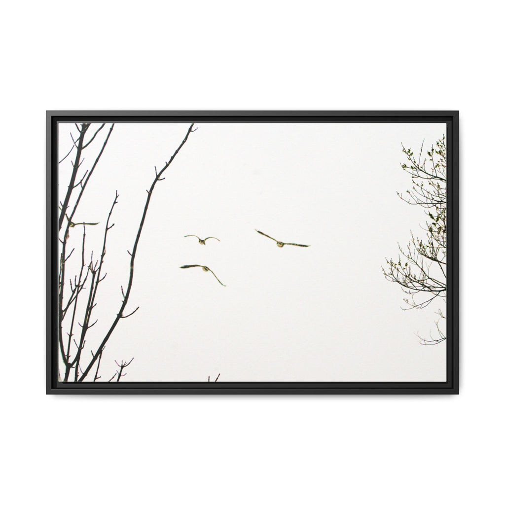 From the Gray — Winter Flight Framed Matte Canvas Print — Black & White Bird Photography Wall Art