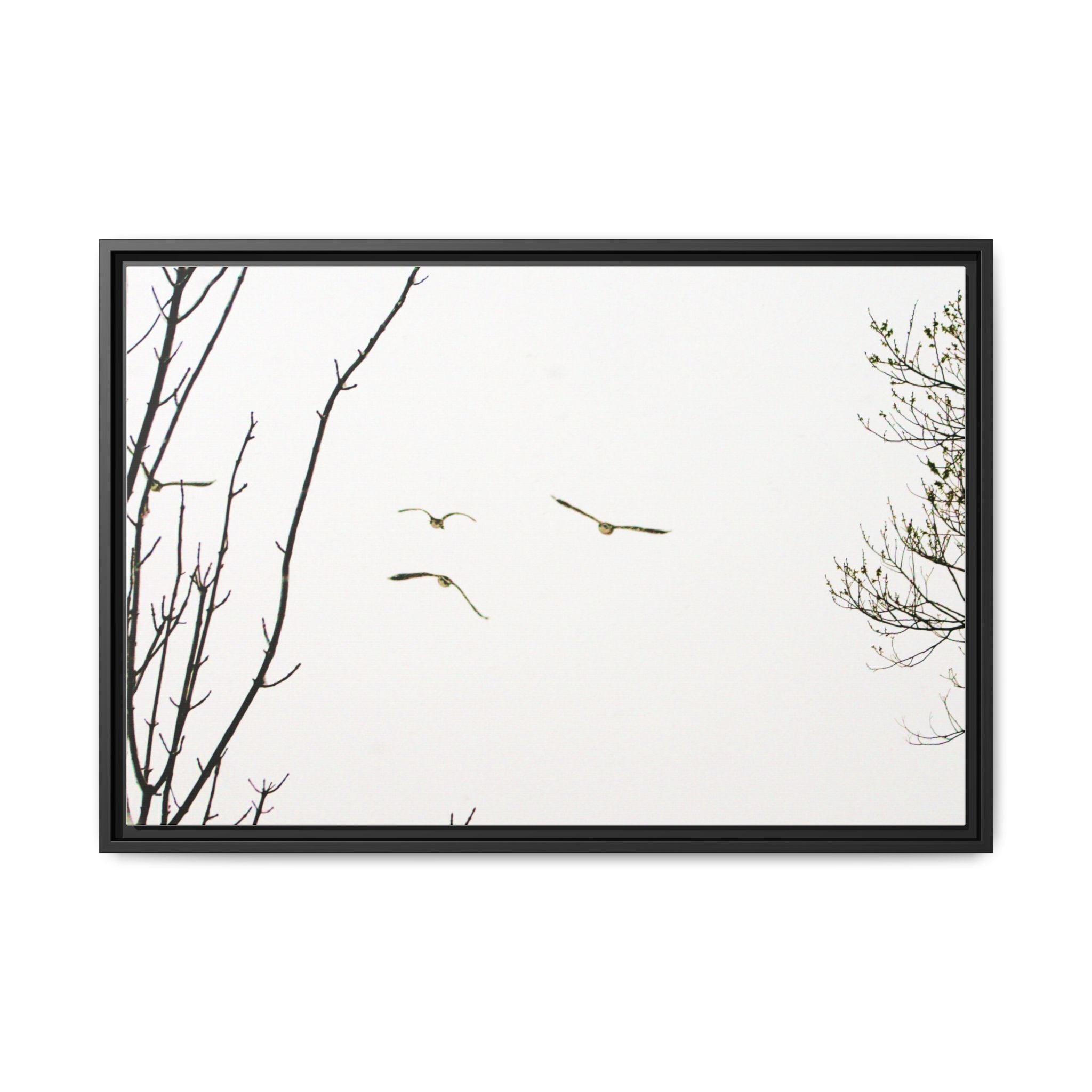 From the Gray — Winter Flight Framed Matte Canvas Print — Black & White Bird Photography Wall Art