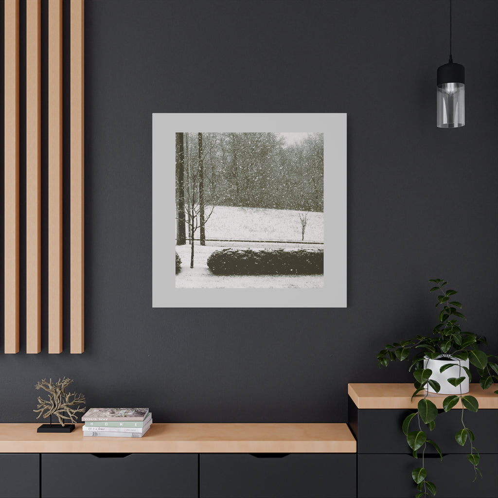 Snowing in the Park — Matte Canvas Print — Winter Landscape Photography Wall Art