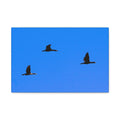 Open Skies — Matte Canvas Print — Blue Sky Bird Photography Wall Art