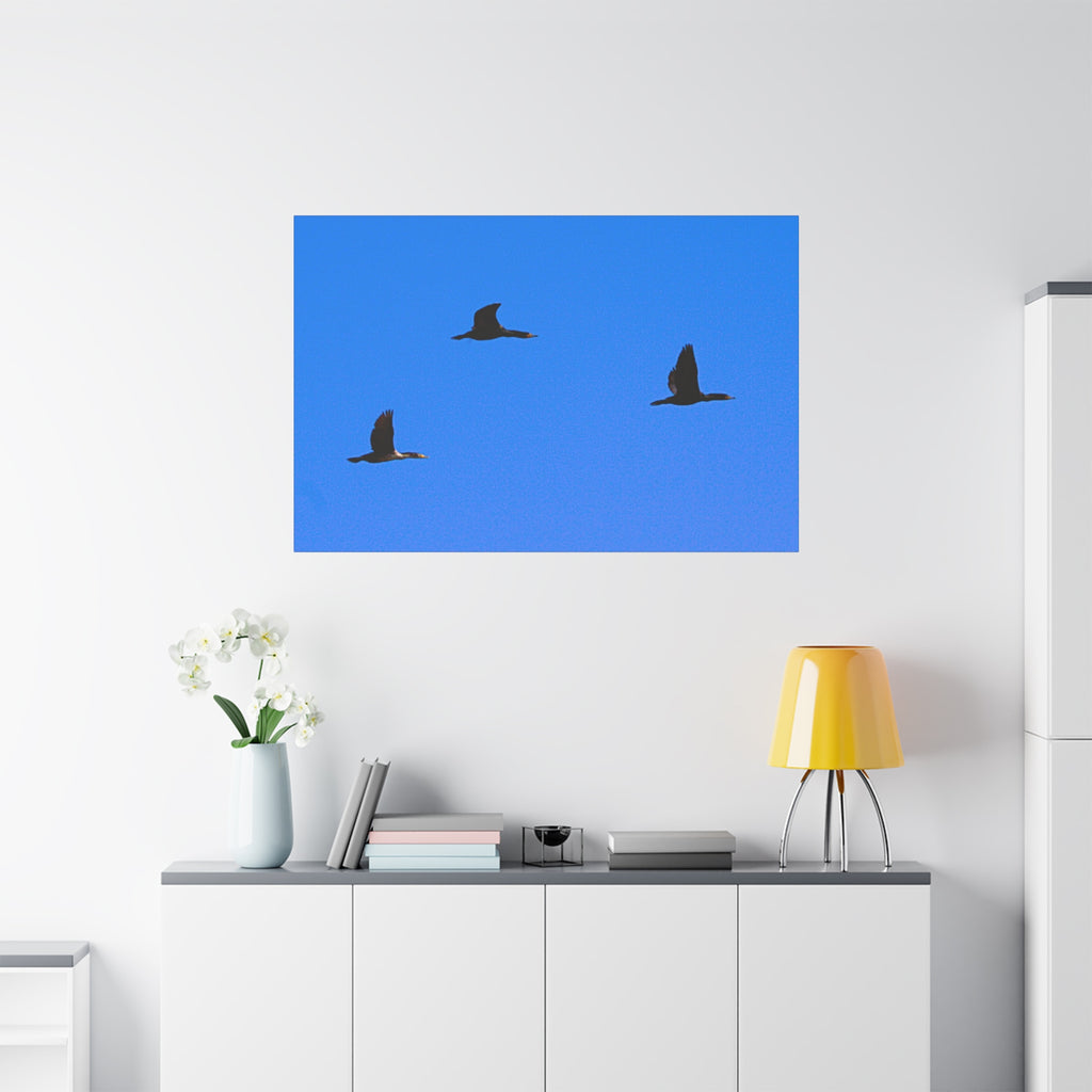Open Skies — Matte Canvas Print — Blue Sky Bird Photography Wall Art