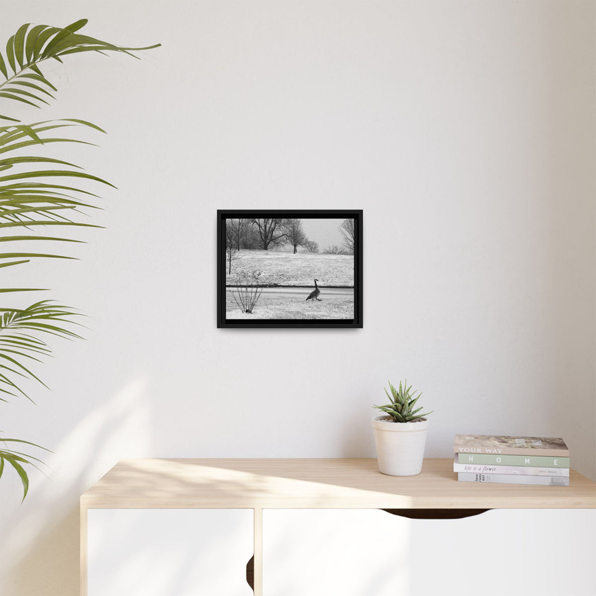 Unbothered — Framed Matte Canvas Print — Black & White Bird Photography Wall Art