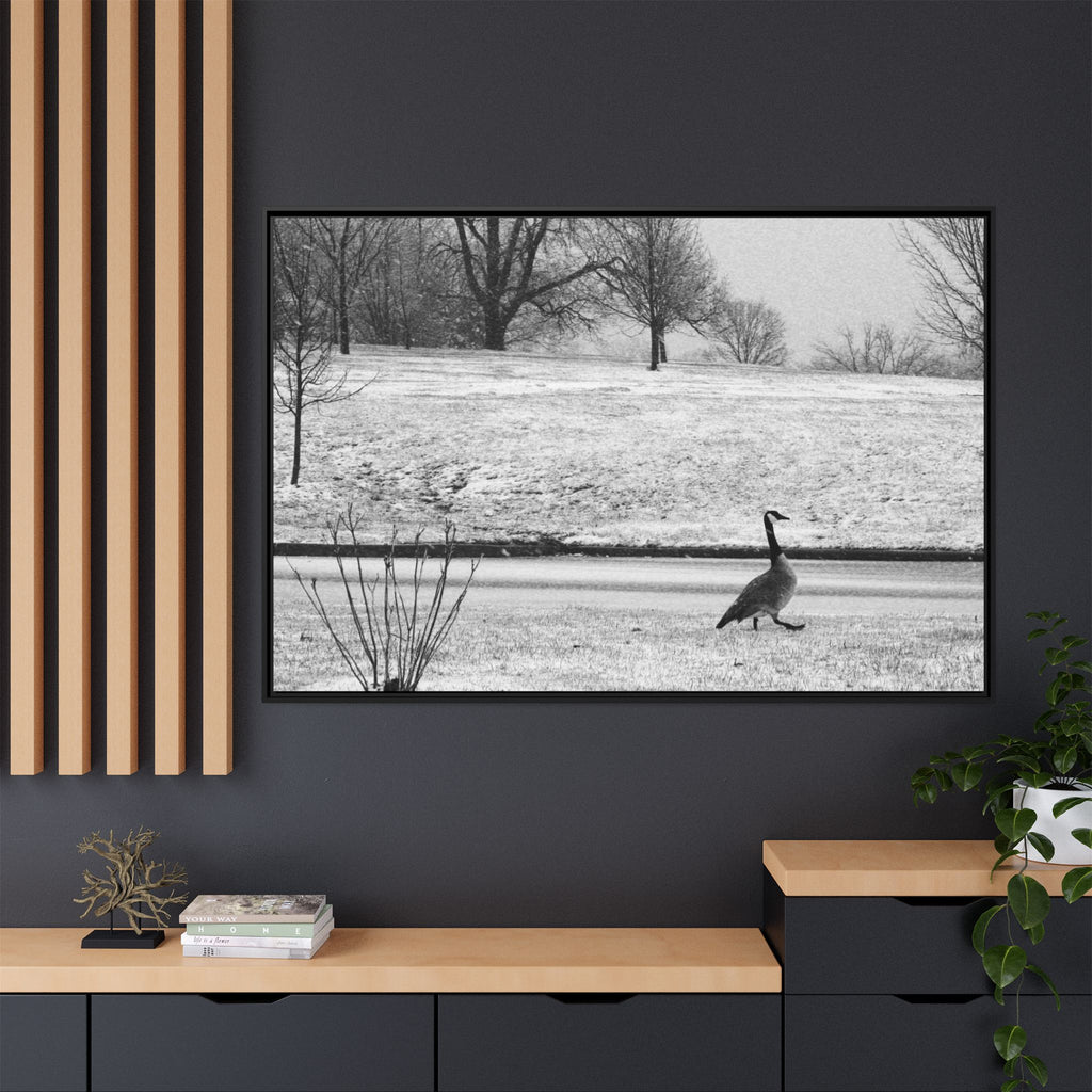 Unbothered — Framed Matte Canvas Print — Black & White Bird Photography Wall Art