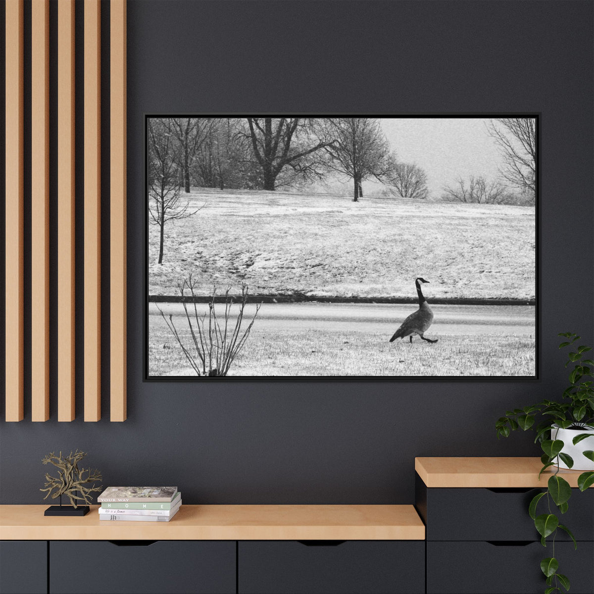 Unbothered — Framed Matte Canvas Print — Black & White Bird Photography Wall Art