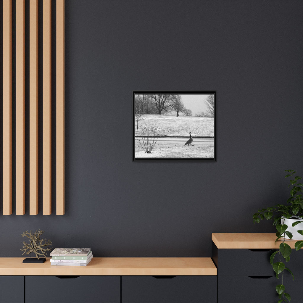 Unbothered — Framed Matte Canvas Print — Black & White Bird Photography Wall Art