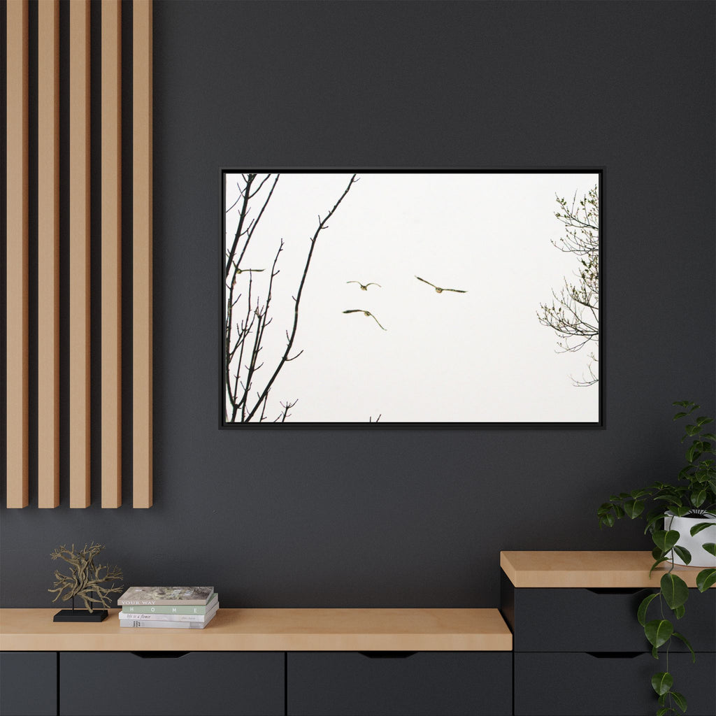 From the Gray — Winter Flight Framed Matte Canvas Print — Black & White Bird Photography Wall Art