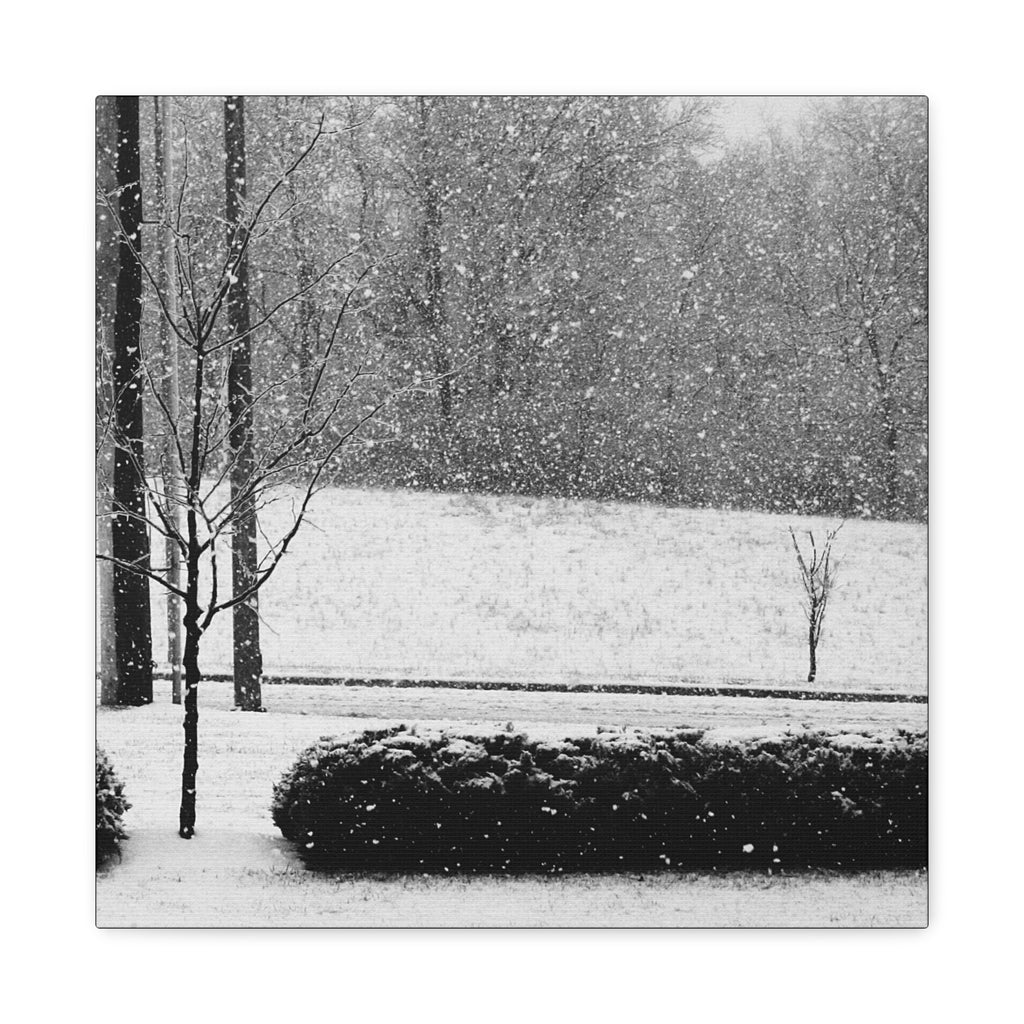 Winter Stillness — Matte Canvas Print — Black & White Winter Photography Wall Art