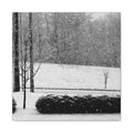 Winter Stillness — Matte Canvas Print — Black & White Winter Photography Wall Art