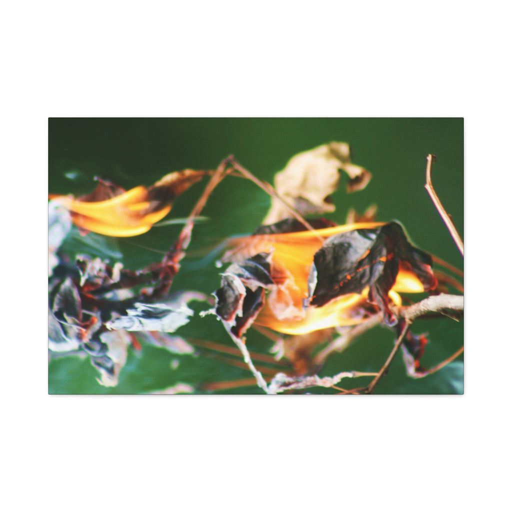Flaming Leaves Matte Canvas Print — Nature Abstract Wall Art