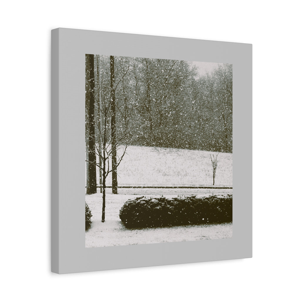 Snowing in the Park — Matte Canvas Print — Winter Landscape Photography Wall Art