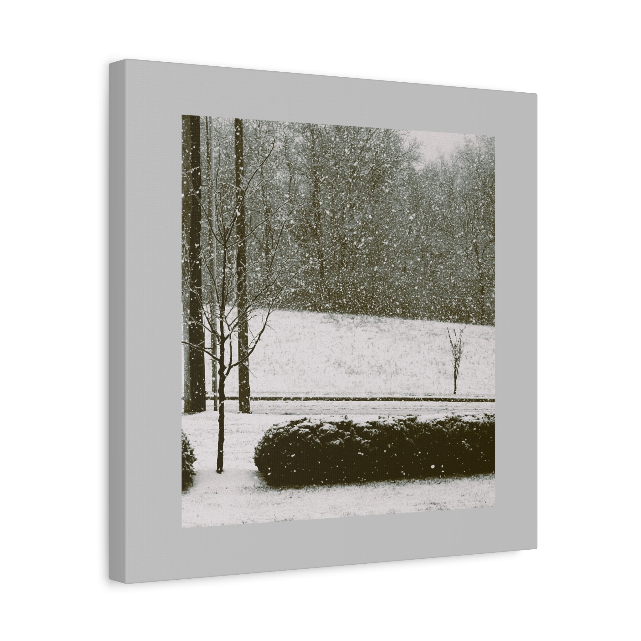 Snowing in the Park — Matte Canvas Print — Winter Landscape Photography Wall Art