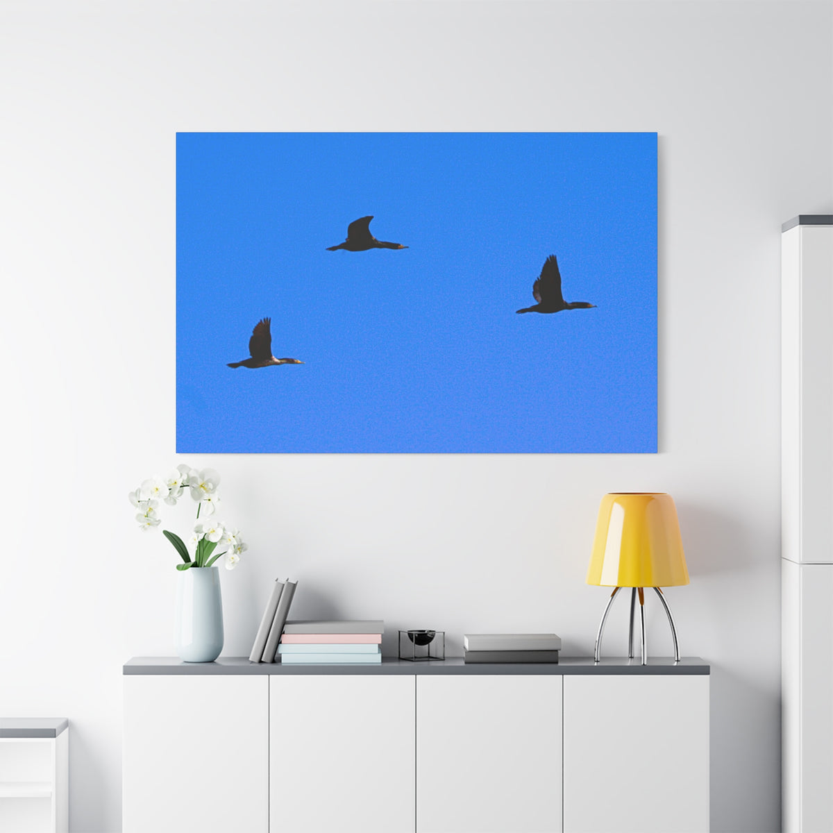 Open Skies — Matte Canvas Print — Blue Sky Bird Photography Wall Art