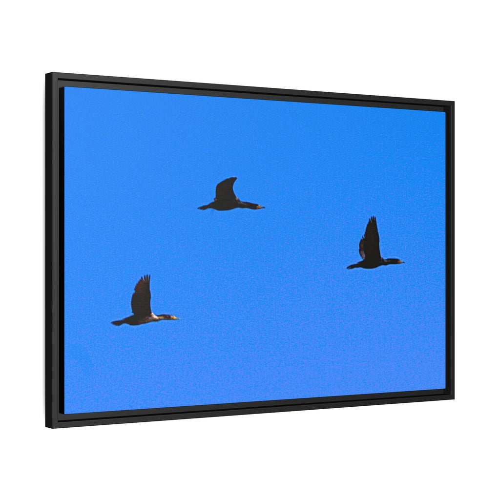 Open Skies — Framed Matte Canvas Print — Blue Sky Bird Photography Wall Art