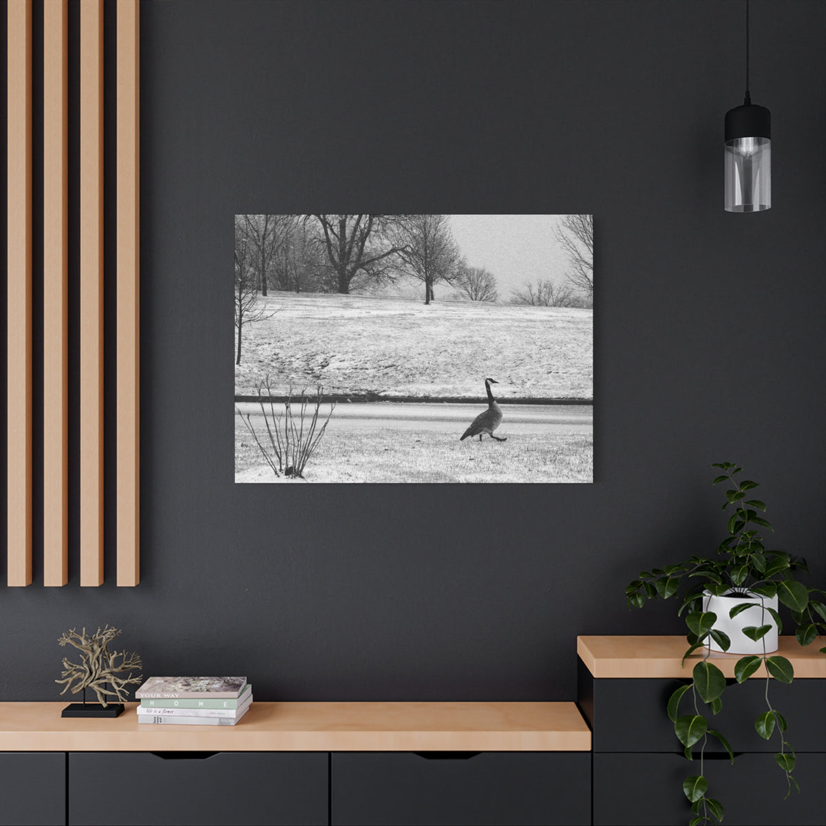 Unbothered — Matte Canvas Print — Black & White Bird Photography Wall Art