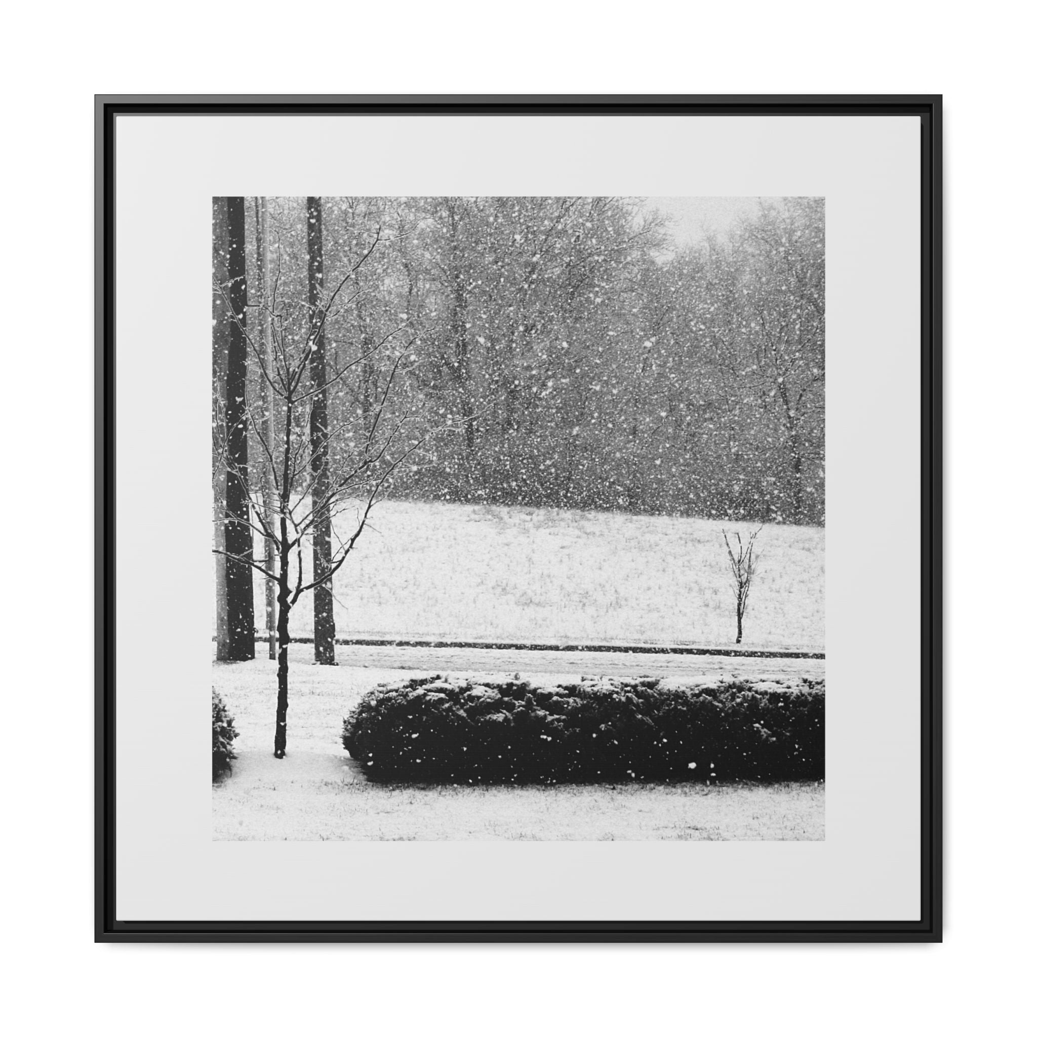  Framed matte canvas print of a snowy park scene in black and white. Elegant winter landscape wall art, ready to hang. Multiple sizes available.