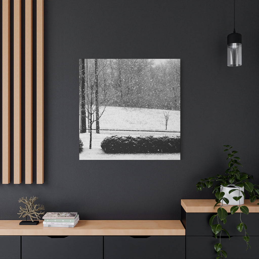 Winter Stillness — Matte Canvas Print — Black & White Winter Photography Wall Art