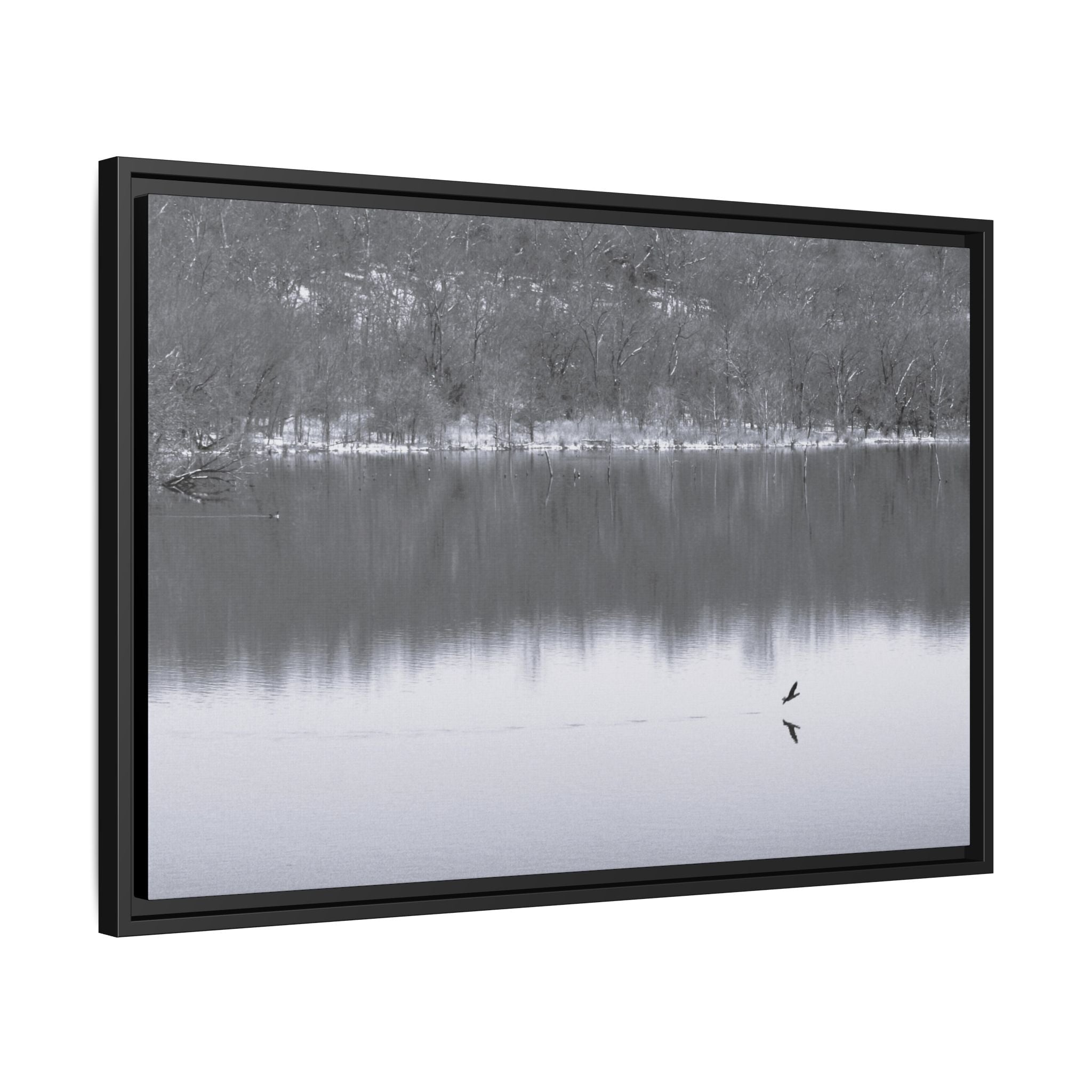 A Quiet Moment — Framed Matte Canvas Print — Black & White Nature Photography Wall Art