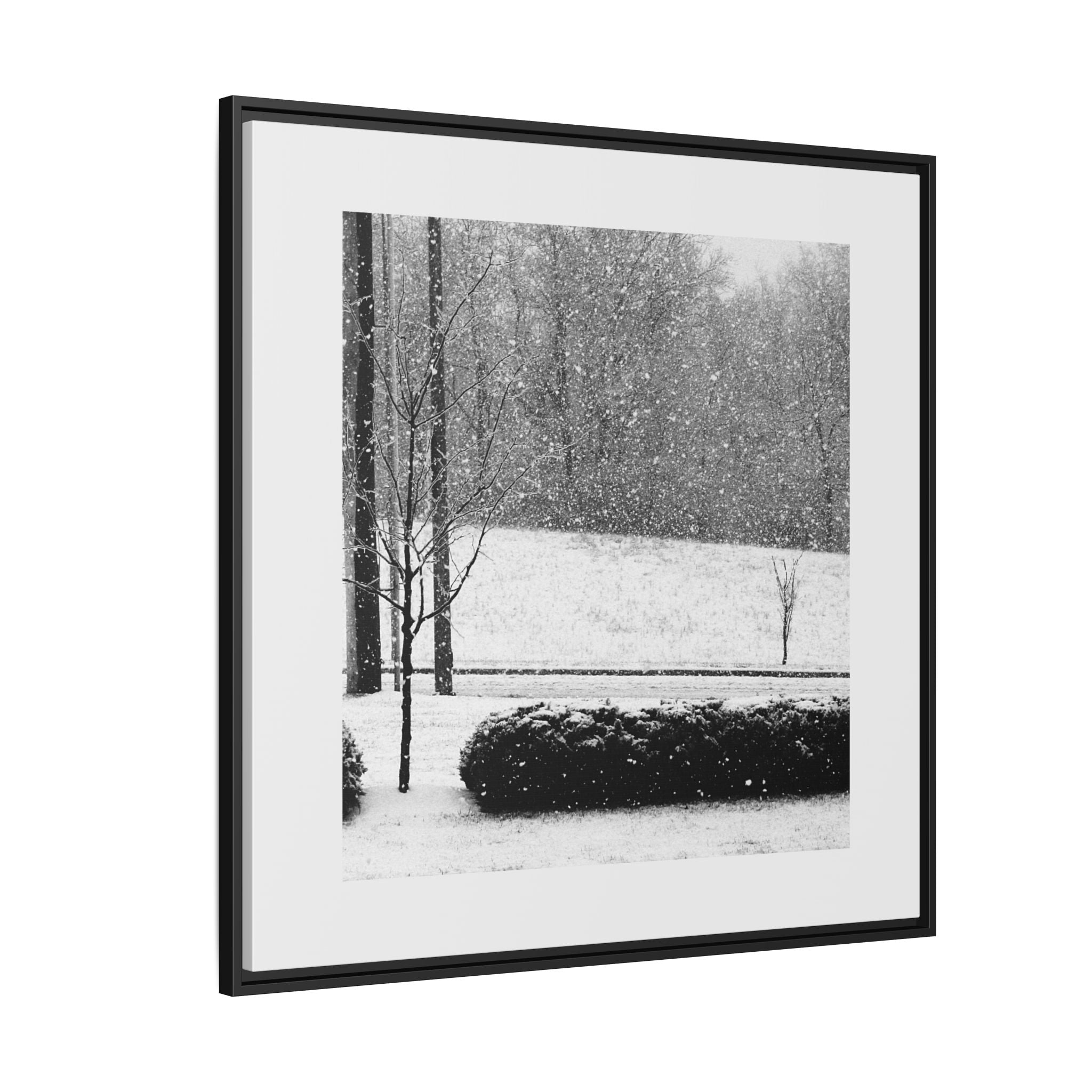 Snowing in the Park — Framed Matte Canvas Print — Winter Landscape Photography Wall Art