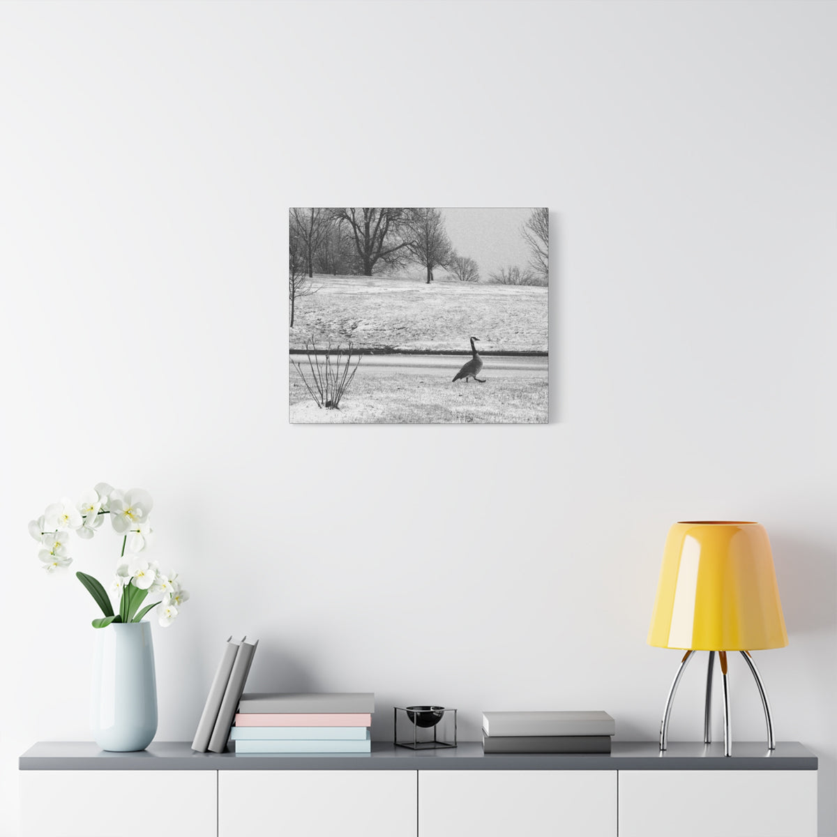 Unbothered — Matte Canvas Print — Black & White Bird Photography Wall Art